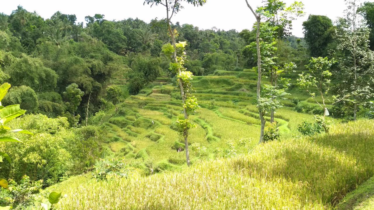 Kembang Kuning Cottages Tetebatu Exteriör bild